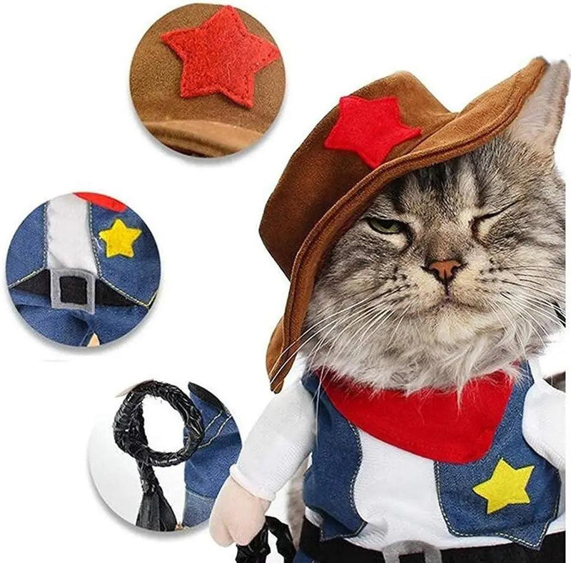 Roupas para Cães Pequenos e Gato - bonbrasil